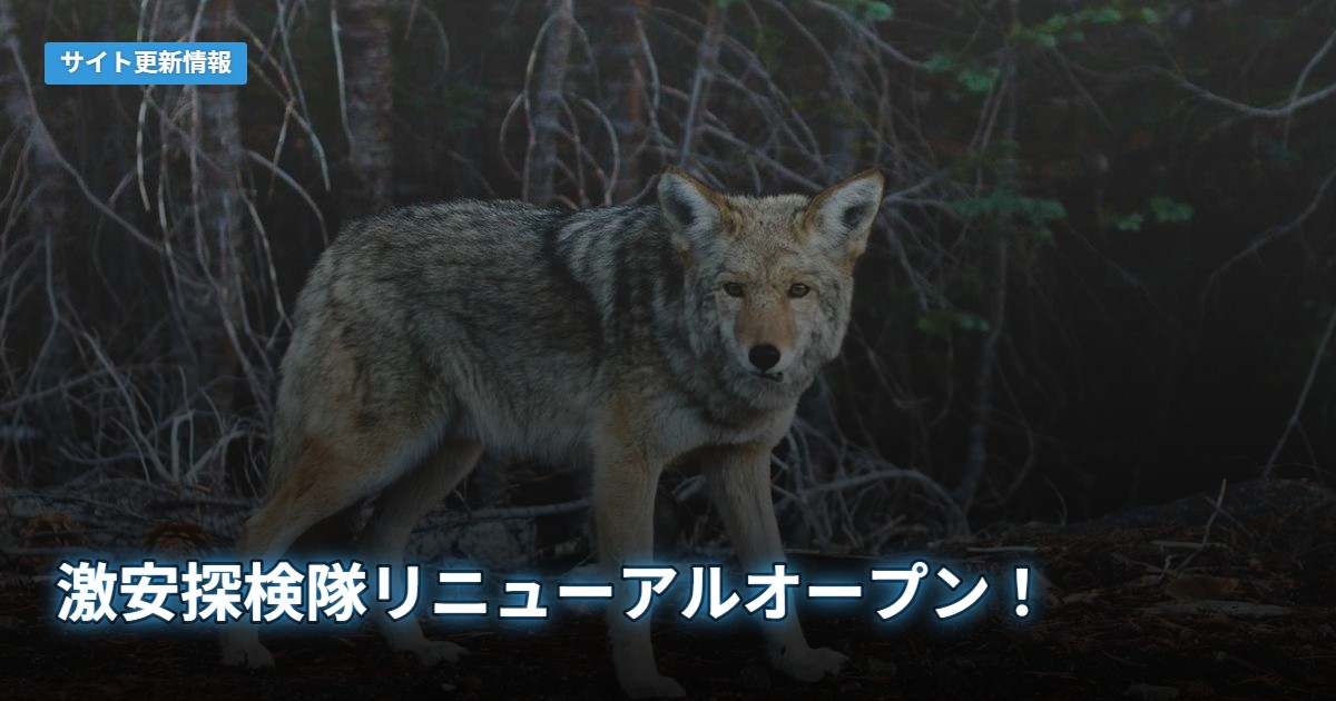 激安探検隊リニューアルオープン！