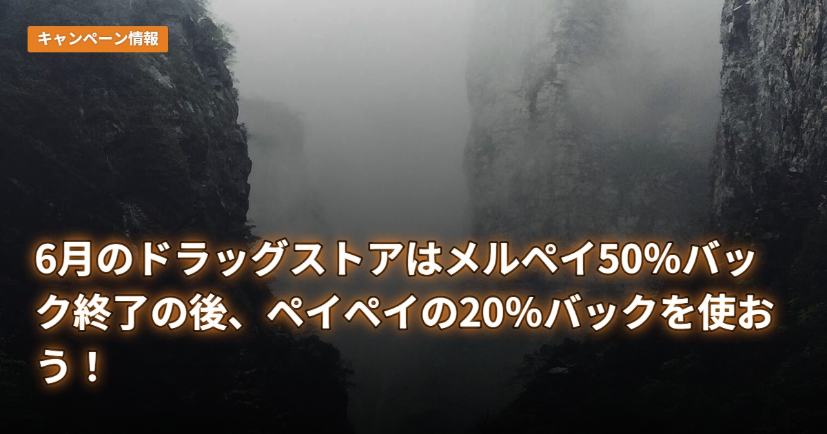 6月のドラッグストアはメルペイ50％バック終了の後、ペイペイの20％バックを使おう！