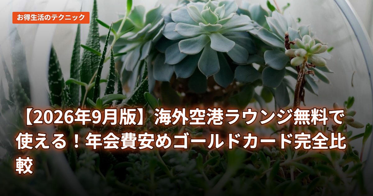 【2026年9月版】海外空港ラウンジ無料で使える！年会費安めゴールドカード完全比較