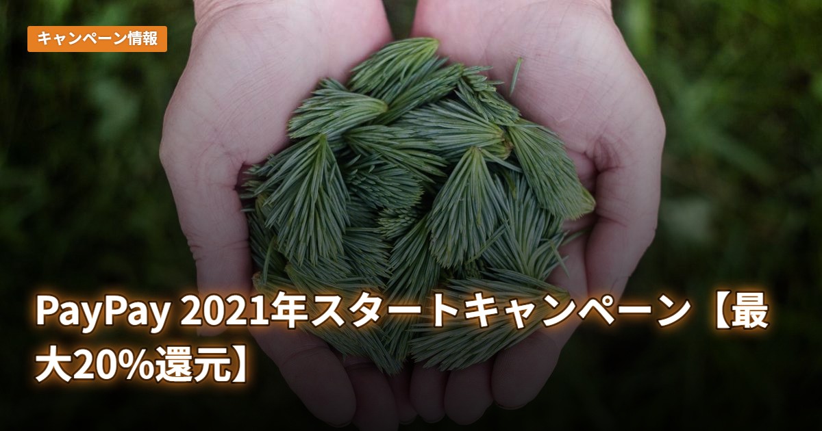 PayPay 2021年スタートキャンペーン【最大20%還元】
