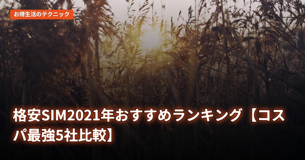 格安SIM2021年おすすめランキング【コスパ最強5社比較】