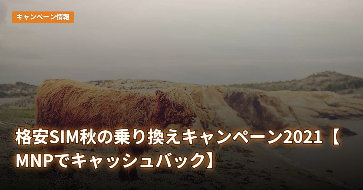 格安SIM秋の乗り換えキャンペーン2021【MNPでキャッシュバック】